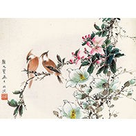 颜九宝 花鸟