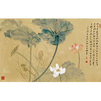 陈定山 红白莲
